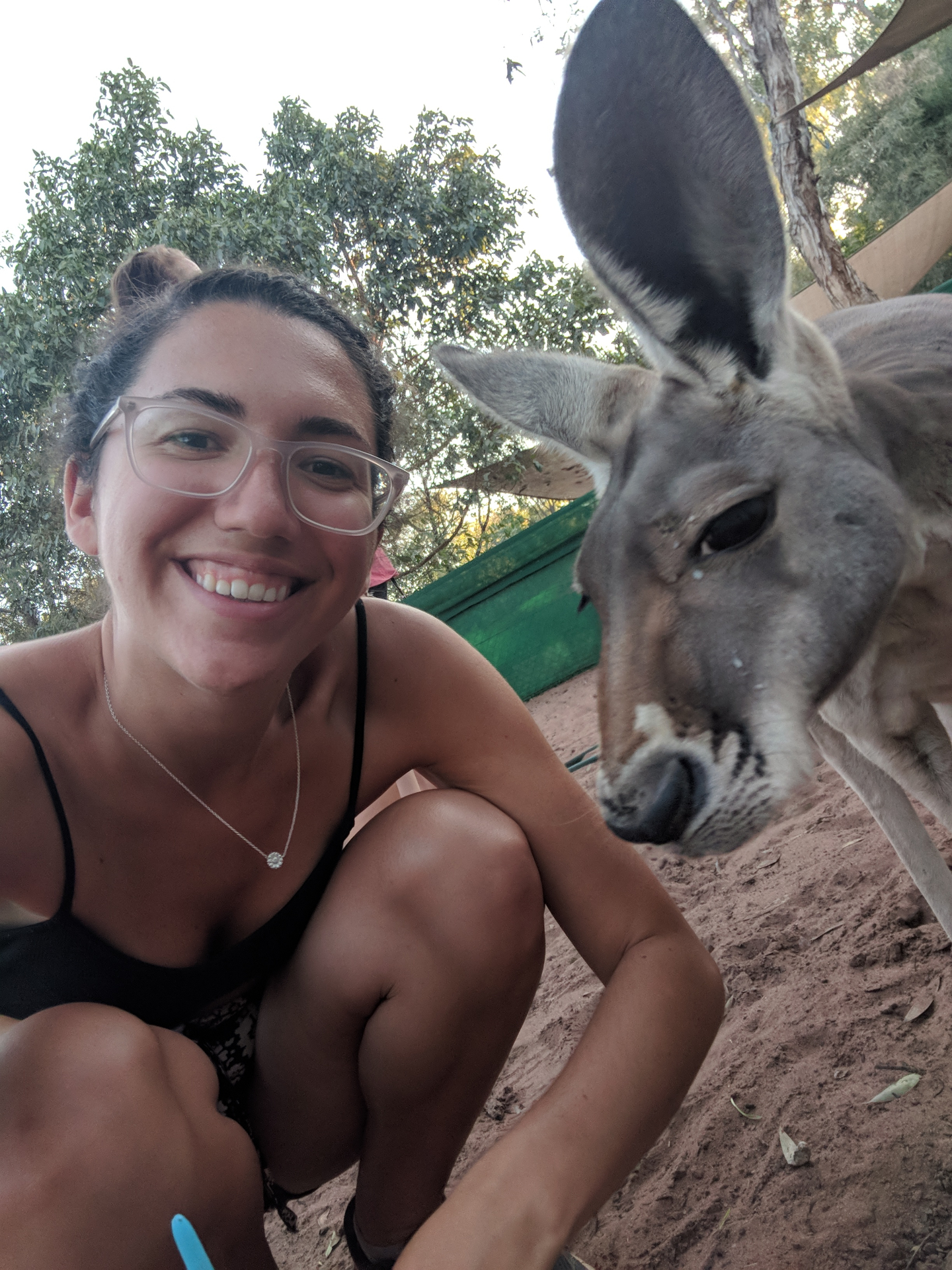 Selfie with a kangaroo in Australia