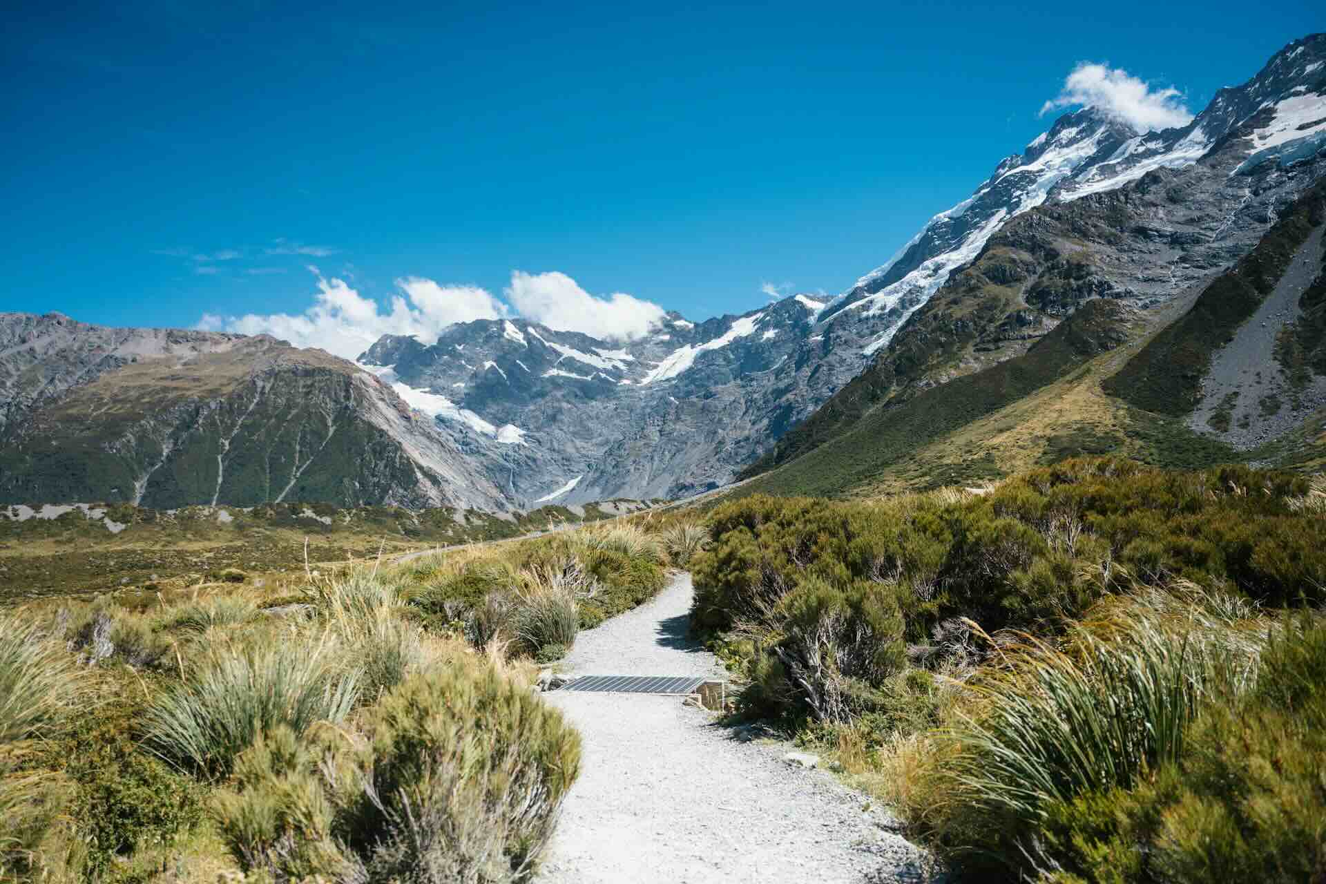 New Zealand landscape
